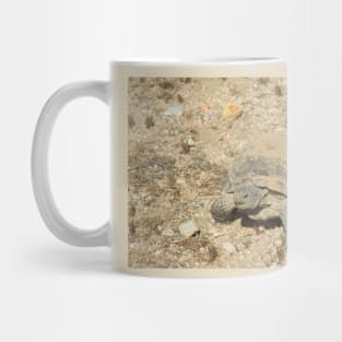 Desert Tortoise, Turtle, Reptiles, Wildlife, Reptilian, Gifts Mug